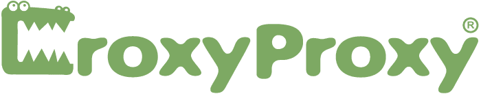 What is Croxy Proxy? Is it Safe? (with Professional Alternatives)
